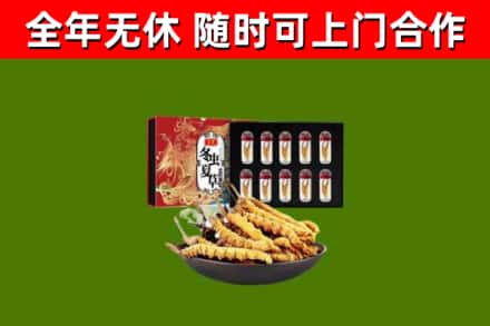 安义县回收冬虫夏草价格